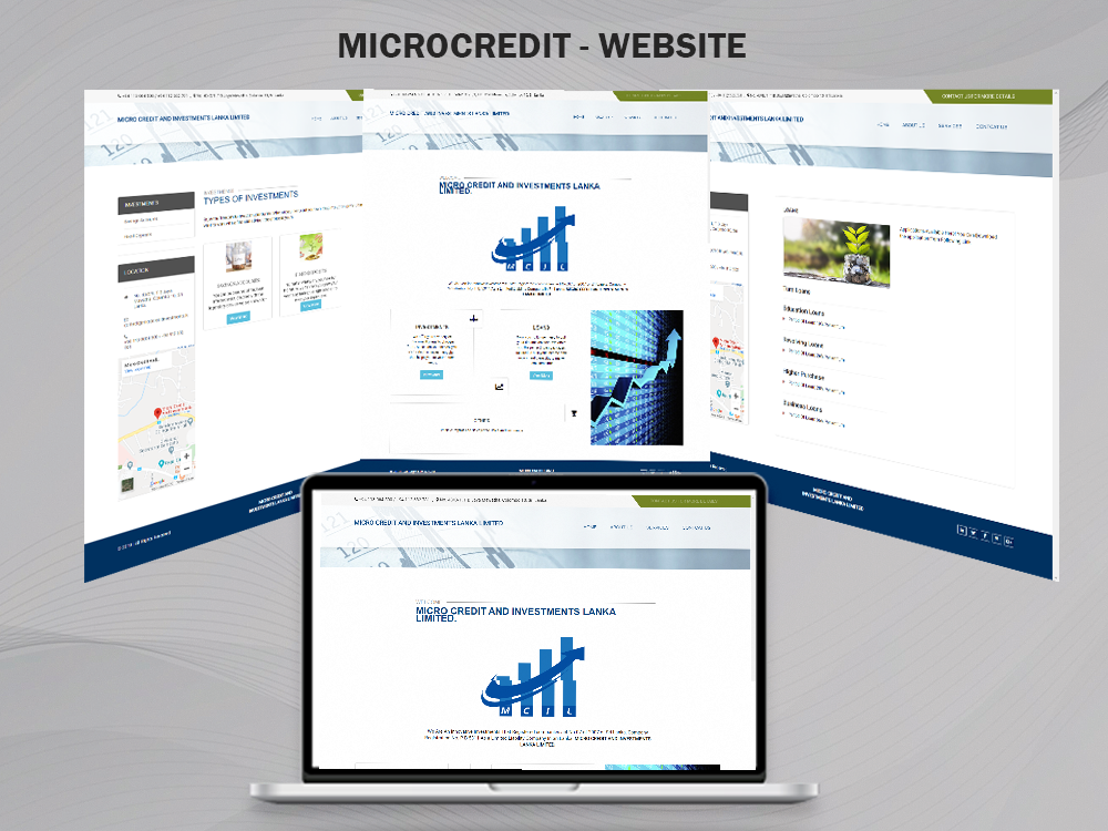 Microcredit service website